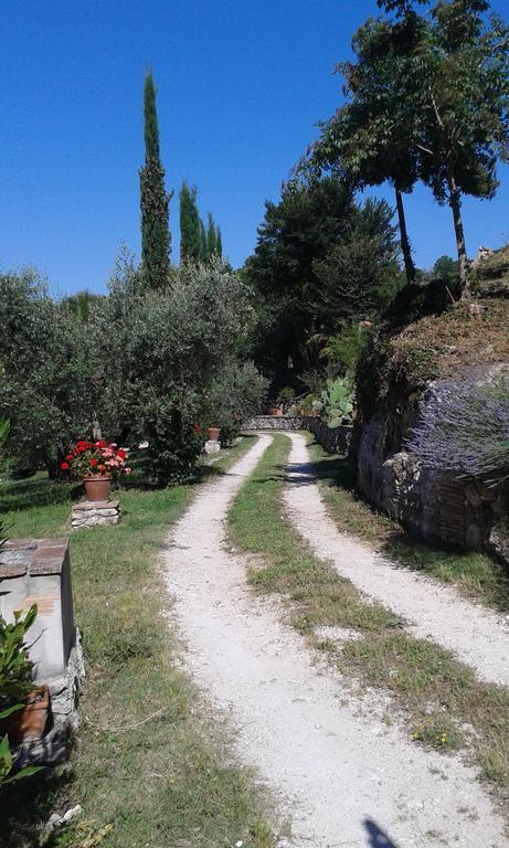 L'Antica Mola Villa Castel Madama Kamer foto