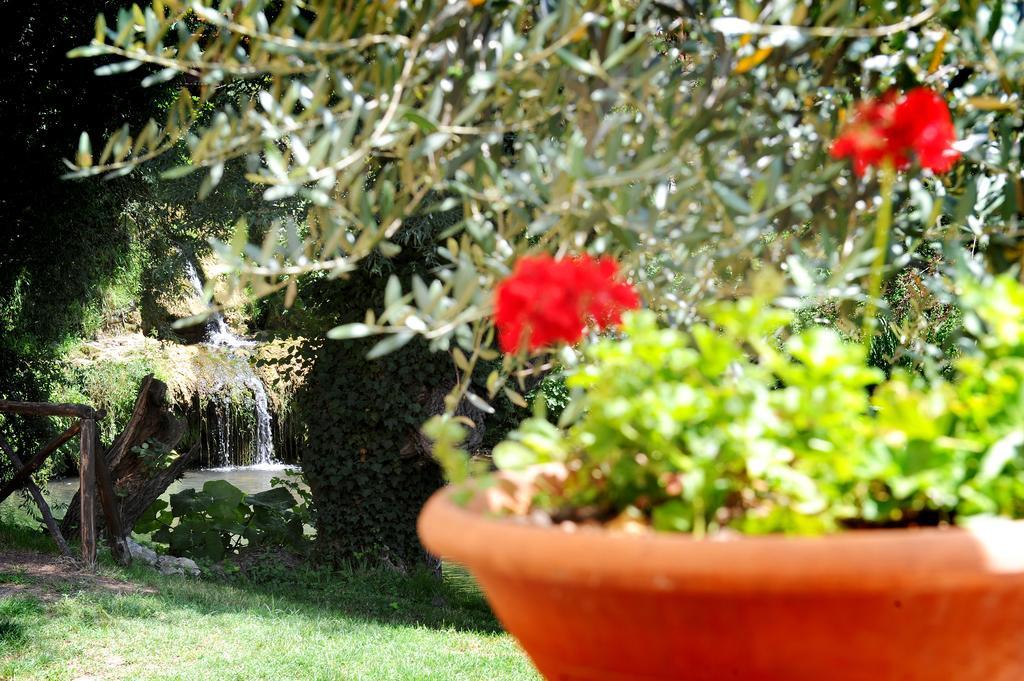 L'Antica Mola Villa Castel Madama Kamer foto