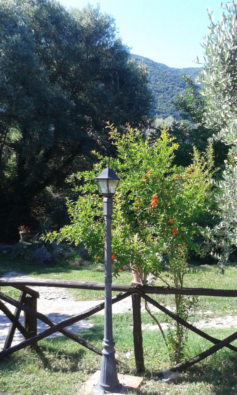 L'Antica Mola Villa Castel Madama Buitenkant foto